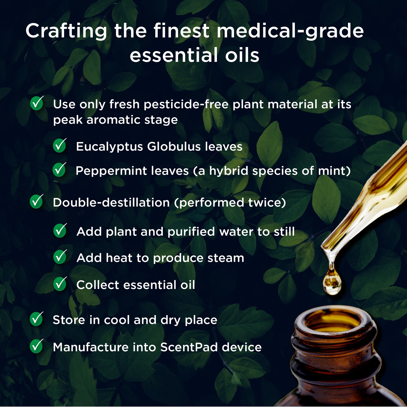 Mypurmist® ScentPad Eucalyptus & Peppermint - 4 pads | 24 Sessions